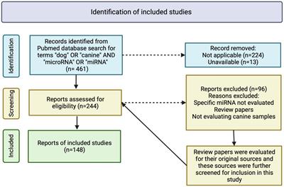 A review on microRNA detection and expression studies in dogs